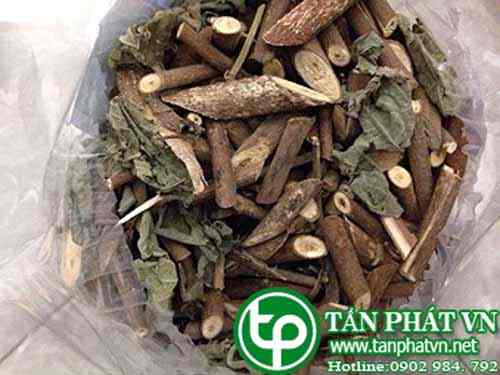 Công Dụng hỗ trợ điều trị của thảo dược cây an xoa được bán Tận Hà Nội 