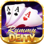 rummy new app 51